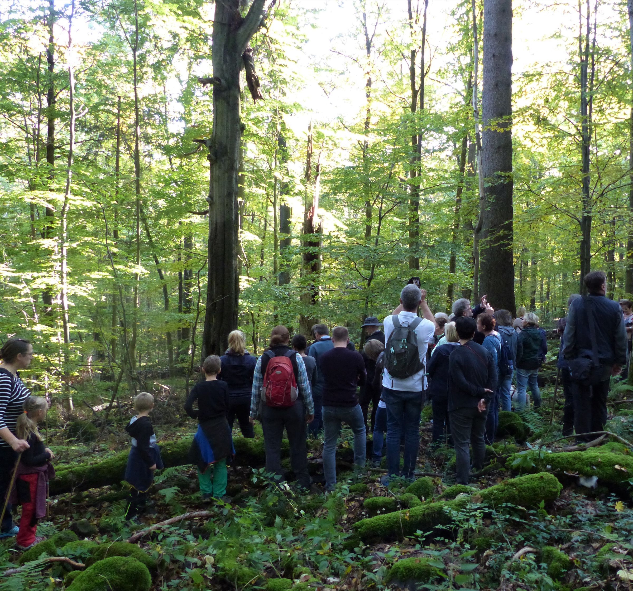 Teichelbergexkursion 13.10.2019